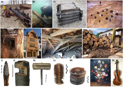 Dendroarchaeology in Europe